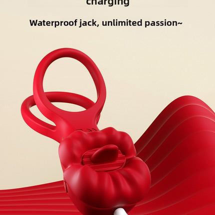 c3ccc472-3b89-4951-b4bf-fc35f3705d19